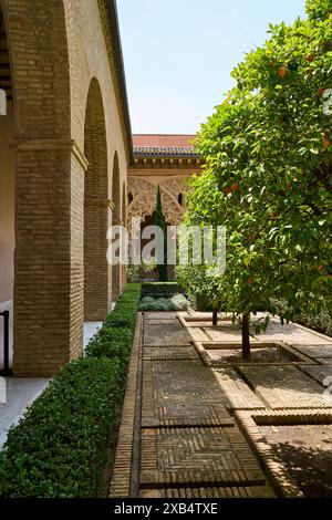 Blick auf die Gärten des Hofes von Santa Isabel im Aljaferia-Palast in Saragoza, Aragon, Spanien, 06-06-2024. Stockfoto