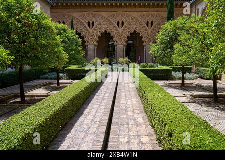 Blick auf die Gärten des Hofes von Santa Isabel im Aljaferia-Palast in Saragoza, Aragon, Spanien, 06-06-2024 Stockfoto