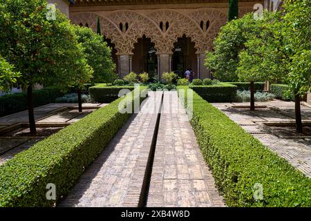 Gärten im Innenhof von Santa Isabel im Aljaferia-Palast in Saragossa, Aragon, Spanien, 06-06-2024 Stockfoto