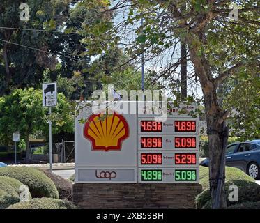 Tankstellenpreise für Shell in Union City, Kalifornien Stockfoto