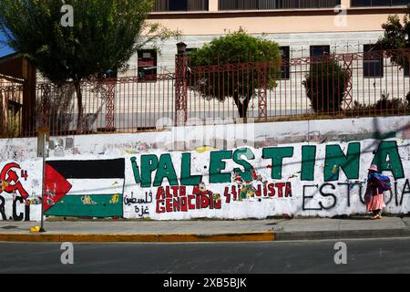 Eine Aymara-Frau geht an einem Wandgemälde Stop the Zionist Genicide der bolivianischen Kommunistischen Partei vorbei, die gegen die Zahl der palästinensischen Todesfälle in Gaza in der Nähe der UMSA-Universität im Zentrum von La Paz, Bolivien, protestiert. Seit 2009 hat sich die bolivianische Regierung zunehmend mit Palästina verbündet und eine anti-israelische Haltung eingenommen. Am 31. Oktober 2023 brach die Regierung die diplomatischen Beziehungen zu Israel aus Protest gegen die palästinensischen Todesopfer im Israel-Hamas-Krieg ab und wurde zu einer der ersten Nationen, die dies taten. Stockfoto