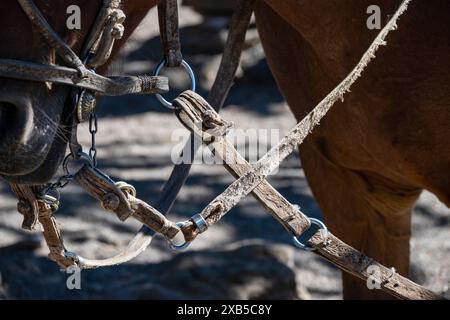 Von den Guachos handgefertigte Ausrüstung zum Reiten von Pferden in Südamerika, aus Leder und Metall Stockfoto