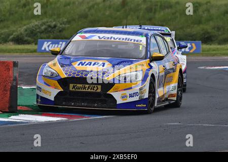 Ash Sutton, Ford Focus ST, NAPA Racing UK, BTCC, British Touring Car Championship, Runden zehn, elf und zwölf der Saison 2024, von den Thruxto Stockfoto