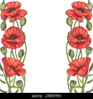 Rahmen mit rotem Mohnblumen. Memorial Day, Anzac in Australien. Wiese Wildblüte, Feld blüht. Handgezeichnete Aquarellillustration isoliert Stockfoto