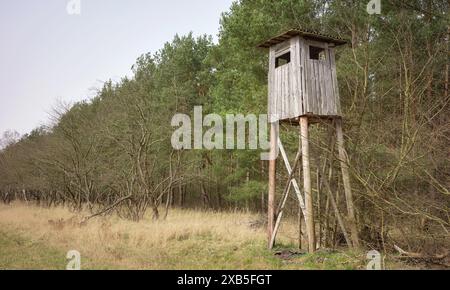 Eine Hirschkanzel am Rande eines Waldes. Stockfoto