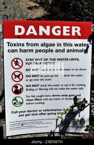 Danger; Giftstoffe aus Algen im Wasser in der Quarry Lakes Regional Recreation Area, Fremont, Kalifornien Stockfoto