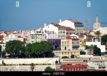 Blick auf den Aussichtspunkt Miradouro de São Pedro de Alcântara inmitten der typischen pastellfarbenen Häuser von lissabon Stockfoto