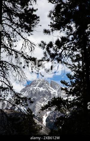 South Lawson Peak, Kananaskis, Alberta, Kanada Stockfoto