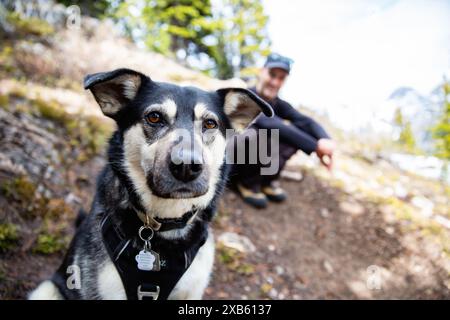 South Lawson Peak, Kananaskis, Alberta, Kanada Stockfoto