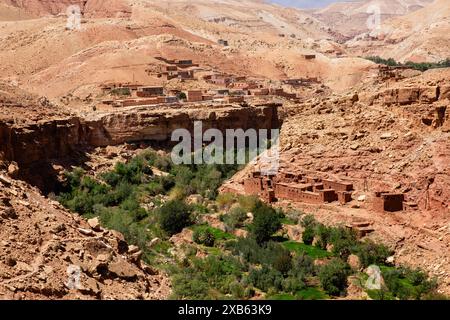 Ein grünes Oasental in Marokko in der Nähe von Ait Ben Haddou Stockfoto