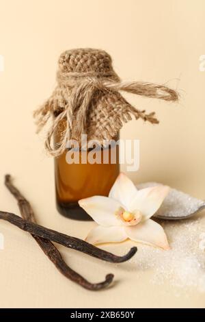 Flasche Vanilleextrakt, Zucker und Stifte auf farbigem Hintergrund Stockfoto