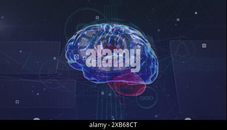 Digitales Rendering des menschlichen Gehirns mit hervorgehobenen Abschnitten in Blau und Rot Stockfoto