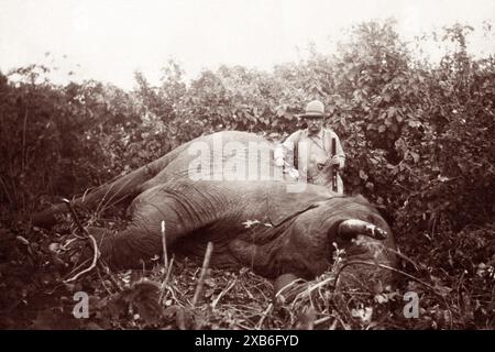 US-Ex-Präsident Theodore Roosevelt (1858–1919) stand über einem afrikanischen Elefanten, den er 1909 während der Afrikanischen Expedition Smithsonian–Roosevelt erschossen hatte, wo er zusammen mit seinem Sohn Kermit versuchte, Exemplare für das neue Naturkundemuseum des Smithsonian zu sammeln. Stockfoto