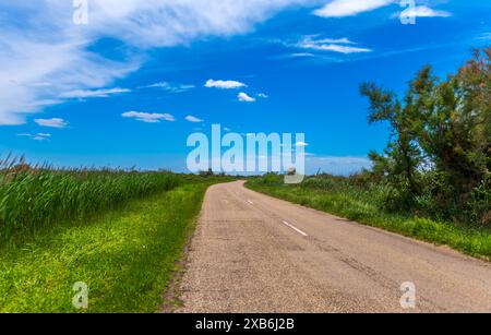 Eine Camargue-Straße in der Nähe von Saintes Maries de la mer in den Bouches du Rhône in der Provence, Frankreich Stockfoto