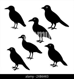 Satz von schwarzen Vögeln auf weißem Hintergrund Silhouettenillustration Stock Vektor