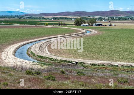 Ein Bewässerungsgraben, der eine S-Kurve durch Farmfelder im Osten von Oregon, USA, führt Stockfoto