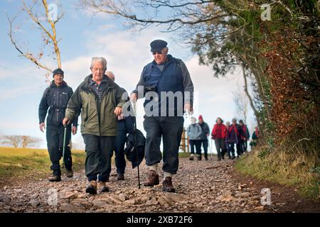 Die „Geriactives“-Gruppe in Ashton Court, Bristol. Stockfoto