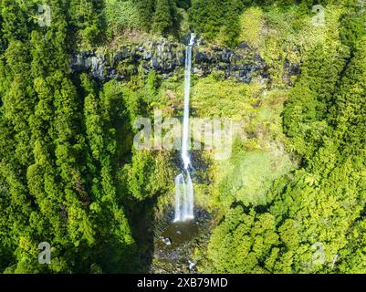 Luftaufnahme eines abgelegenen Wasserfalls Grená in Furnas, umgeben von einem dichten Wald auf den Azoren, Portugal Stockfoto