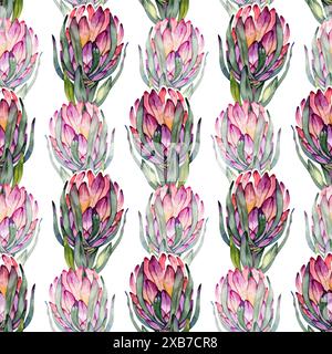 Nahtloses Muster von Aquarellfarben Hellrosa Protea Blumen. Unangenehmer Hintergrund. Handgezeichnet Stockfoto