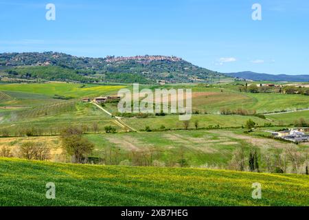 Montalcino, Italien - 26. April 2023: Toskanische Landschaft in der Nähe von Montalcino, Provinz Siena, Italien Stockfoto