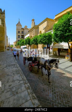 Ein Pferdekutscher bringt Touristen durch die Stadt Cordoba, Spanien. Stockfoto