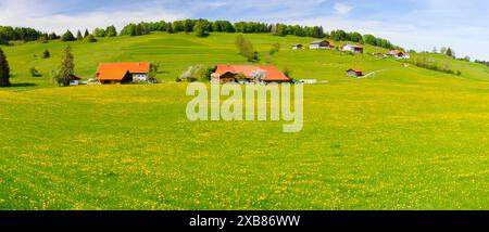 Panorama Landschaft im Allgäu mit Frühlingswiesen Panorama Landschaft mit Frühlingswiesen im Allgäu Bayern - Allgäu Deutschland *** Panorama Landschaft Stockfoto