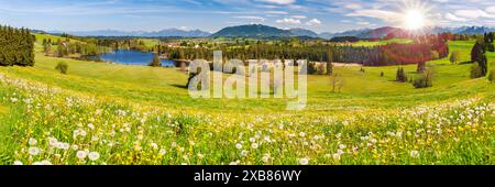 Panorama Landschaft im Allgäu mit Frühlingswiesen Panorama Landschaft mit Frühlingswiesen im Allgäu mit Blick über den Schwaigsee - FOTOMONTAGE Bayern Stockfoto