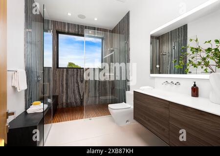 Ein Glasdusche mit Waschbecken und Toilette in einem modernen Badezimmer Stockfoto