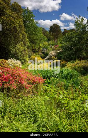 Englischer Park und Garten Stockfoto