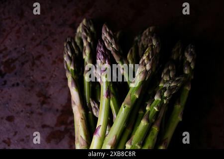Eine Nahaufnahme frischer grüner Spargelspeere, gebündelt. Die Spitzen des Spargels sind fest und leicht violett. Der Spargel ist Agave Stockfoto