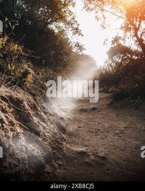 Wald von Akchour, Chefchaouen - Marokko. Stockfoto