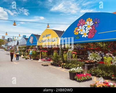 Ein Blumenladen in einer Stadt am Straßenrand mit Passanten Stockfoto