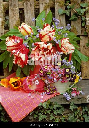 BOTANIK, ADDITIONAL-RIGHTS-CLEARANCE-INFO-NOT-AVAILABLE Stockfoto