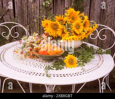 BOTANIK, ADDITIONAL-RIGHTS-CLEARANCE-INFO-NOT-AVAILABLE Stockfoto