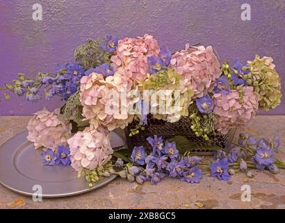 BOTANIK, ADDITIONAL-RIGHTS-CLEARANCE-INFO-NOT-AVAILABLE Stockfoto