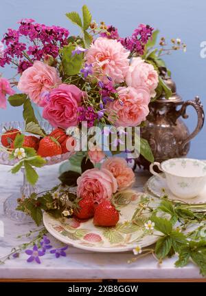 BOTANIK, ADDITIONAL-RIGHTS-CLEARANCE-INFO-NOT-AVAILABLE Stockfoto