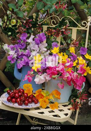 BOTANIK, ADDITIONAL-RIGHTS-CLEARANCE-INFO-NOT-AVAILABLE Stockfoto