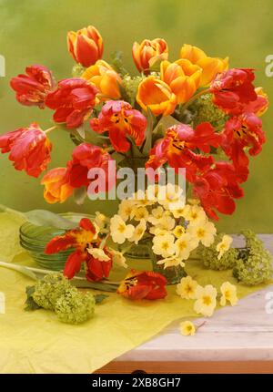 BOTANIK, ADDITIONAL-RIGHTS-CLEARANCE-INFO-NOT-AVAILABLE Stockfoto