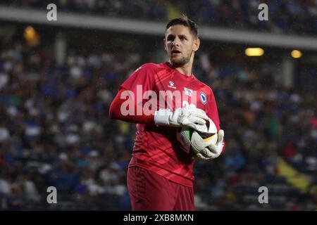 Empoli, Italien. Juni 2024. Kenan Piric aus Bosnien und Herzegowina reagiert beim Internationalen Freundschaftsspiel im Stadio Carlo Castellani, Empoli. Der Bildnachweis sollte lauten: Jonathan Moscrop/Sportimage Credit: Sportimage Ltd/Alamy Live News Stockfoto