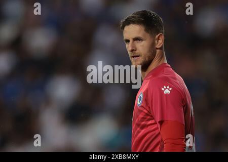 Empoli, Italien. Juni 2024. Kenan Piric aus Bosnien und Herzegowina während des internationalen Freundschaftsspiels im Stadio Carlo Castellani, Empoli. Der Bildnachweis sollte lauten: Jonathan Moscrop/Sportimage Credit: Sportimage Ltd/Alamy Live News Stockfoto