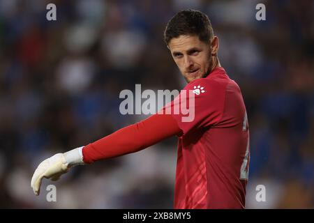 Empoli, Italien. Juni 2024. Kenan Piric aus Bosnien und Herzegowina während des internationalen Freundschaftsspiels im Stadio Carlo Castellani, Empoli. Der Bildnachweis sollte lauten: Jonathan Moscrop/Sportimage Credit: Sportimage Ltd/Alamy Live News Stockfoto