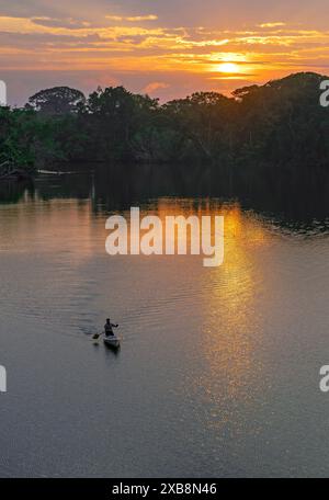 Einheimischer Quechua-Mann, der sein Kanu bei Sonnenaufgang paddelt, Amazonas-Dschungel, Yasuni-Nationalpark, Ecuador. Stockfoto