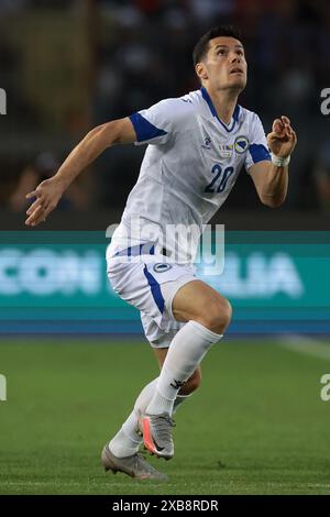 Empoli, Italien, 9. Juni 2024. Haris Hajradinovic aus Bosnien und Herzegowina während des internationalen Freundschaftsspiels im Stadio Carlo Castellani, Empoli. Der Bildnachweis sollte lauten: Jonathan Moscrop / Sportimage Stockfoto