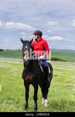 Senior Mann, der auf einem Pferd reitet und die wunderschöne Landschaft genießt, seine Freizeit und die natürliche Umgebung genießt. Stockfoto