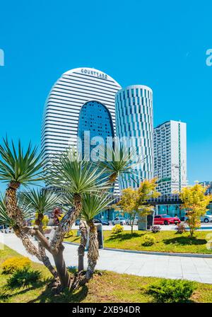 Batumi, Georgia - 4. Juni 2024: Yucca-Palme vor dem Hintergrund moderner Architektur Stockfoto