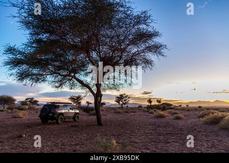 Ein Sonnenuntergang leuchtet ein geparktes Fahrzeug in der Wüste unter einem Baum Stockfoto