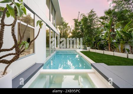 Ein Hinterhof-Pool mit umliegendem Grün und einem Baum Stockfoto