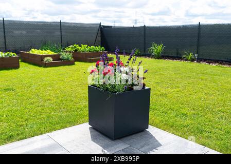 Verschiedene Blumen stehen auf der Terrasse in einem großen Topf auf Rädern, Rasen im Hintergrund. Stockfoto