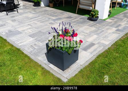 Verschiedene Blumen stehen auf der Terrasse in einem großen Topf auf Rädern, Rasen im Hintergrund. Stockfoto