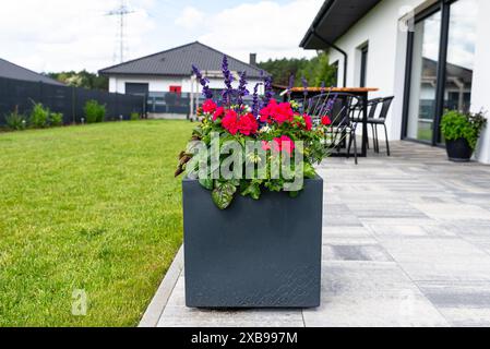 Verschiedene Blumen stehen auf der Terrasse in einem großen Topf auf Rädern, Rasen im Hintergrund. Stockfoto